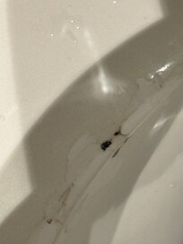 This was the bathroom sink, I was so disgusted