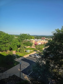 My view from my room