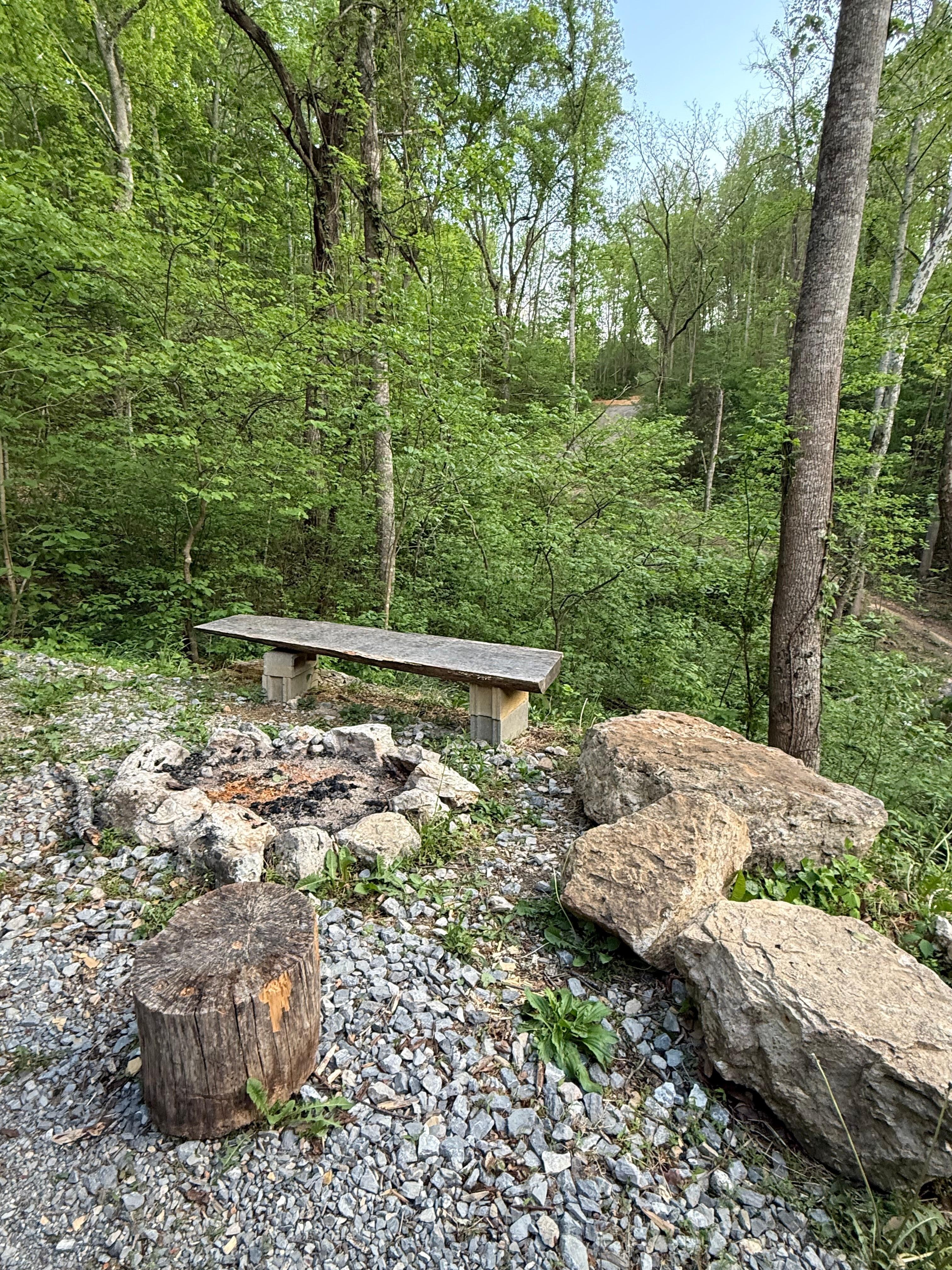 Fire pit 