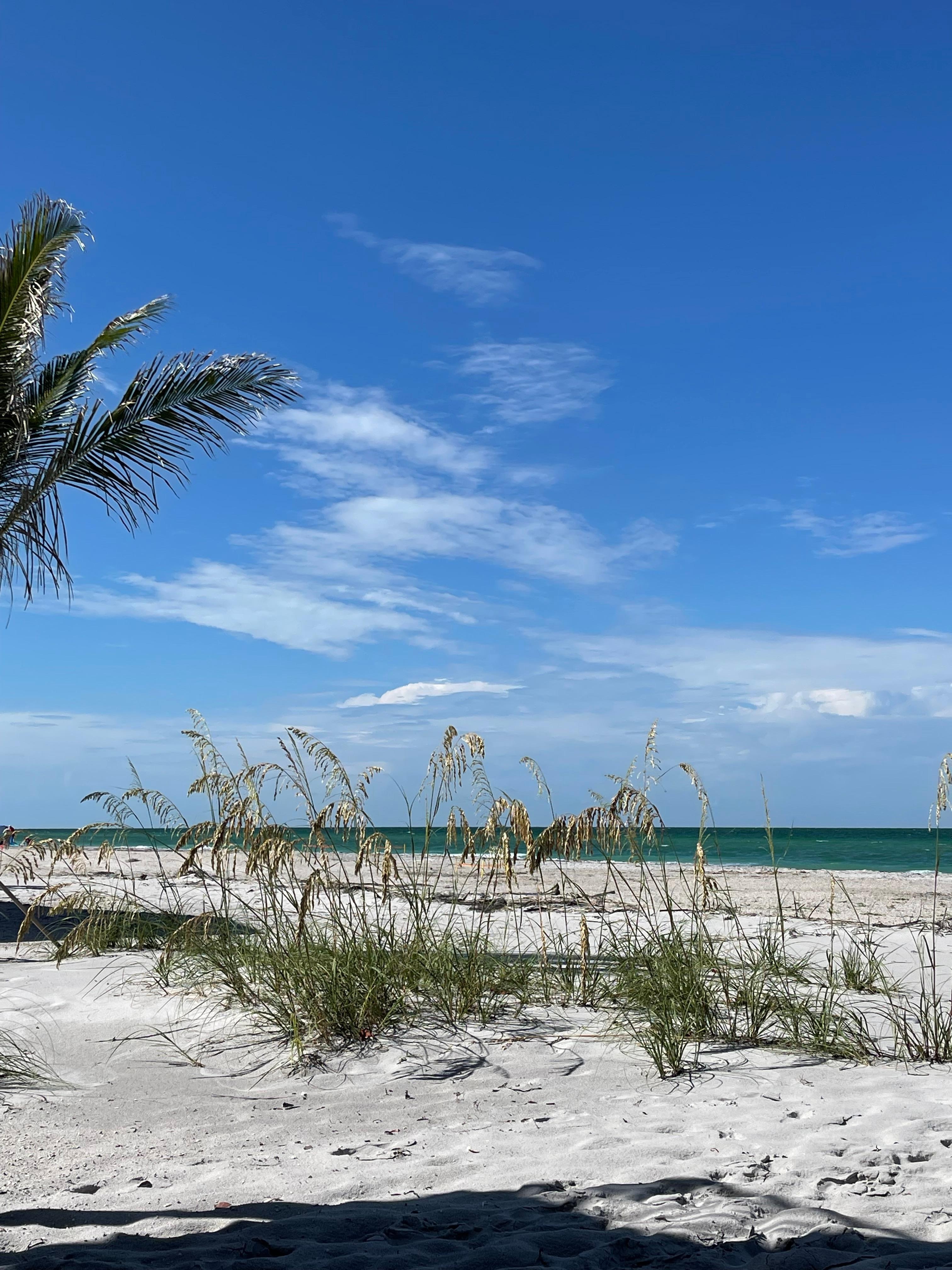 So close to the water!