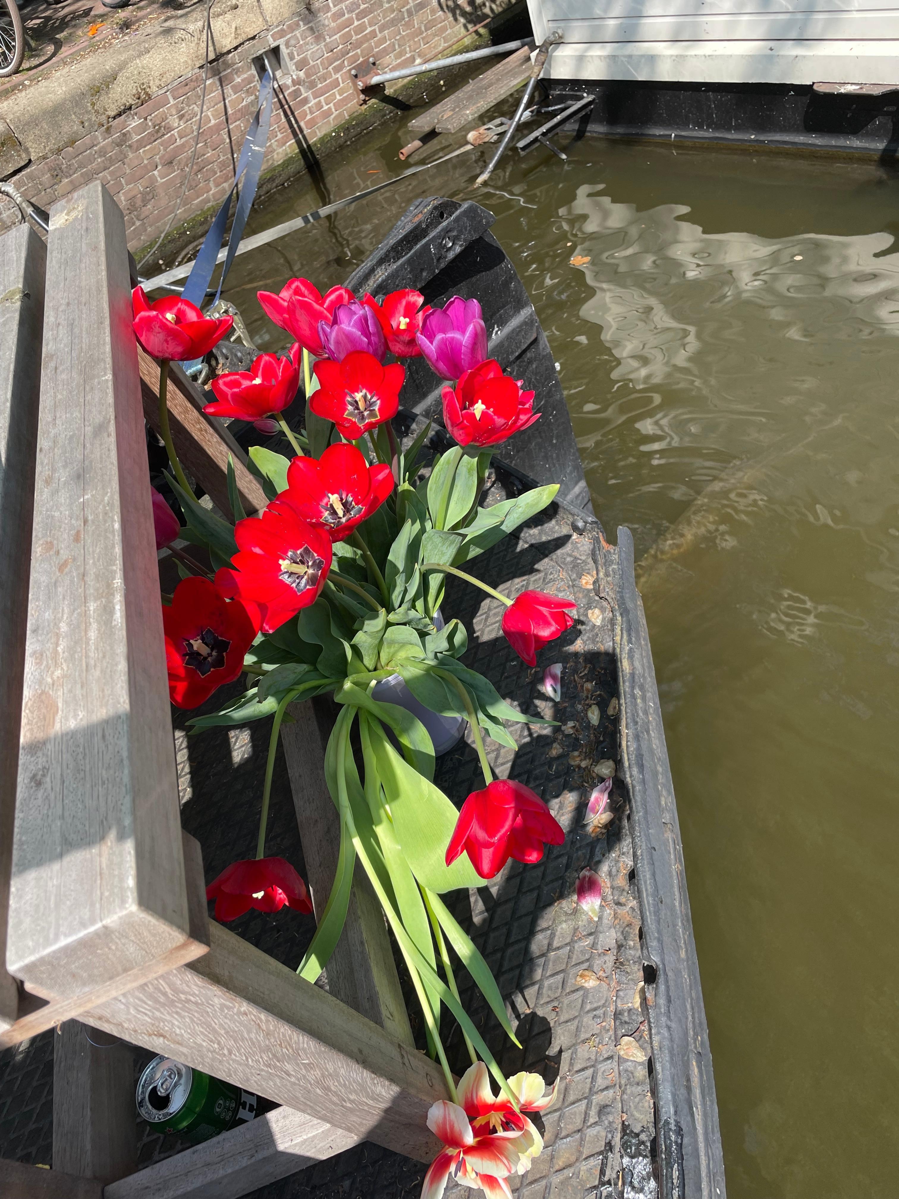 Tulips from our tour! I kept fresh tulips and the hoseboat had vases! 