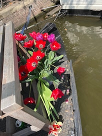 Tulips from our tour! I kept fresh tulips and the hoseboat had vases!