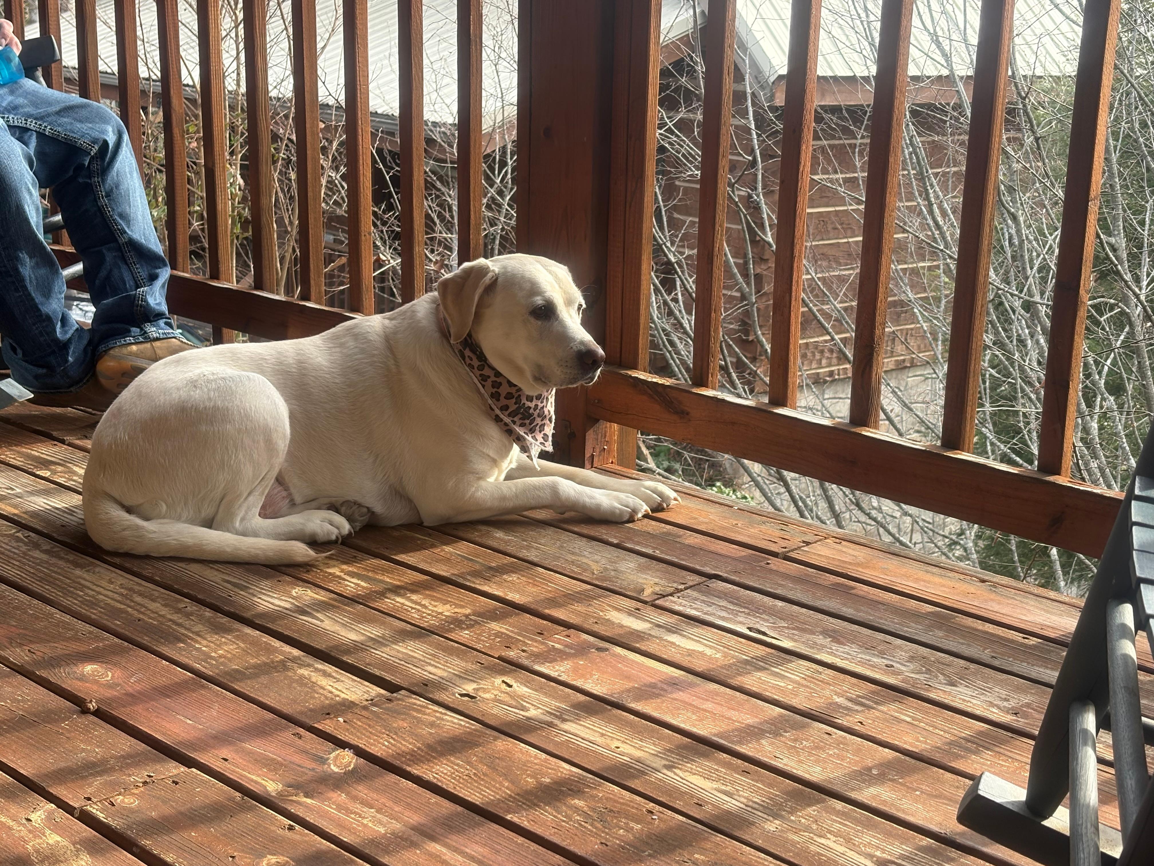 Awesome balcony on every floor