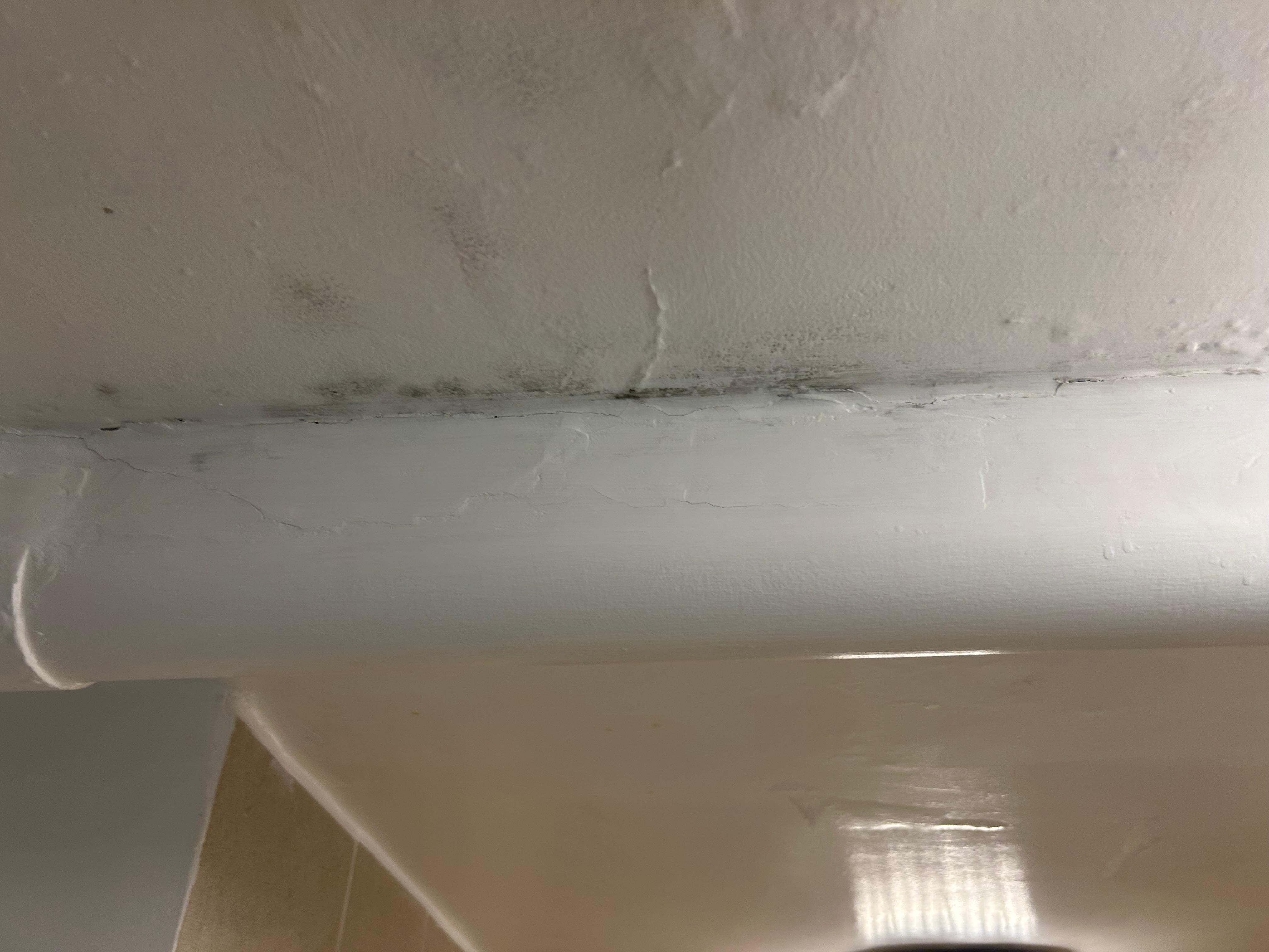 Moisture from bathroom ceiling 