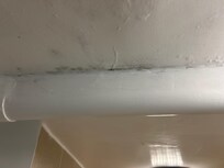 Moisture from bathroom ceiling
