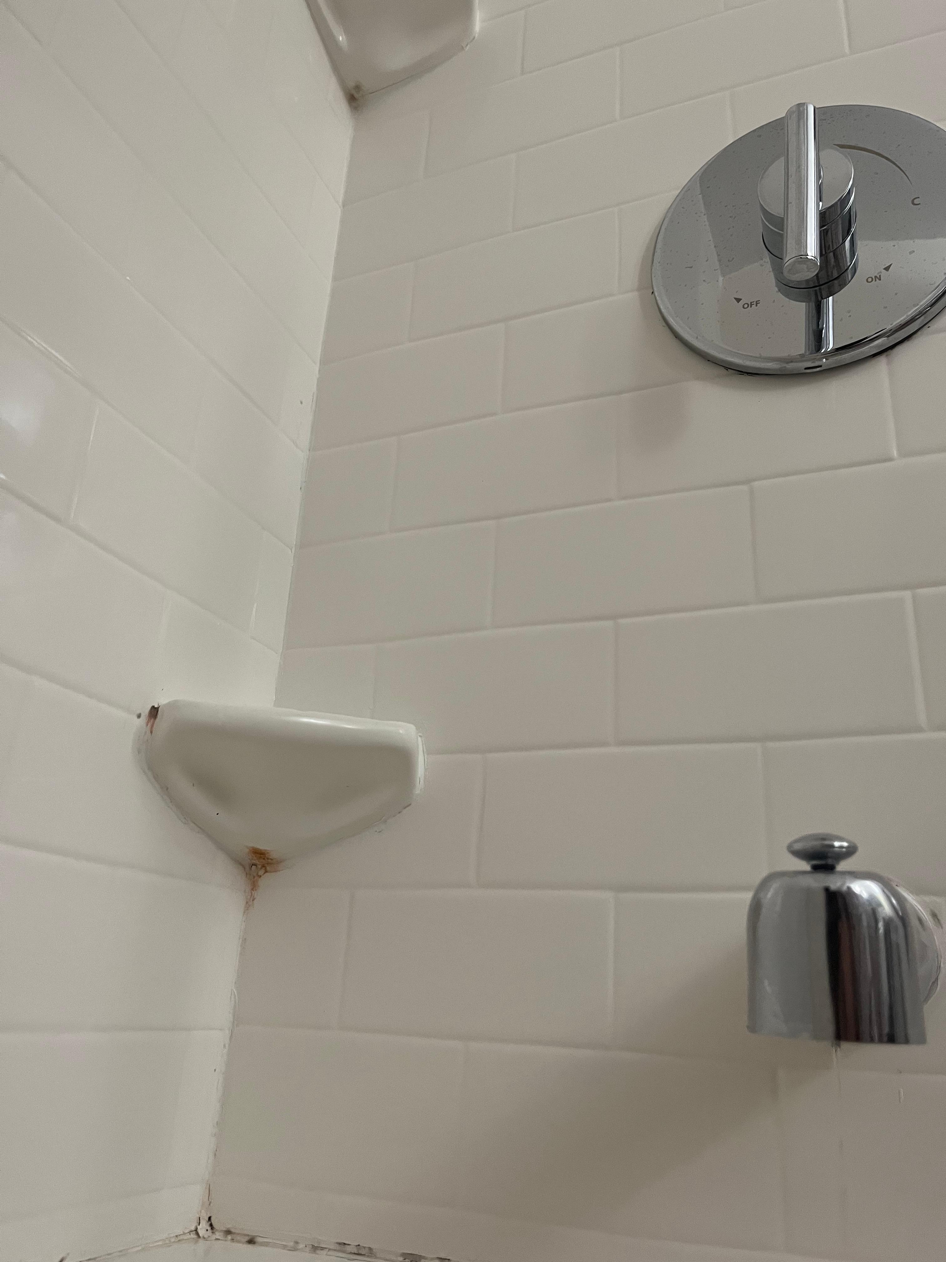Pink mold in bathroom 
