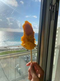 Literally the best mangoes ever