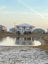 The pond has super fun jumping fish!