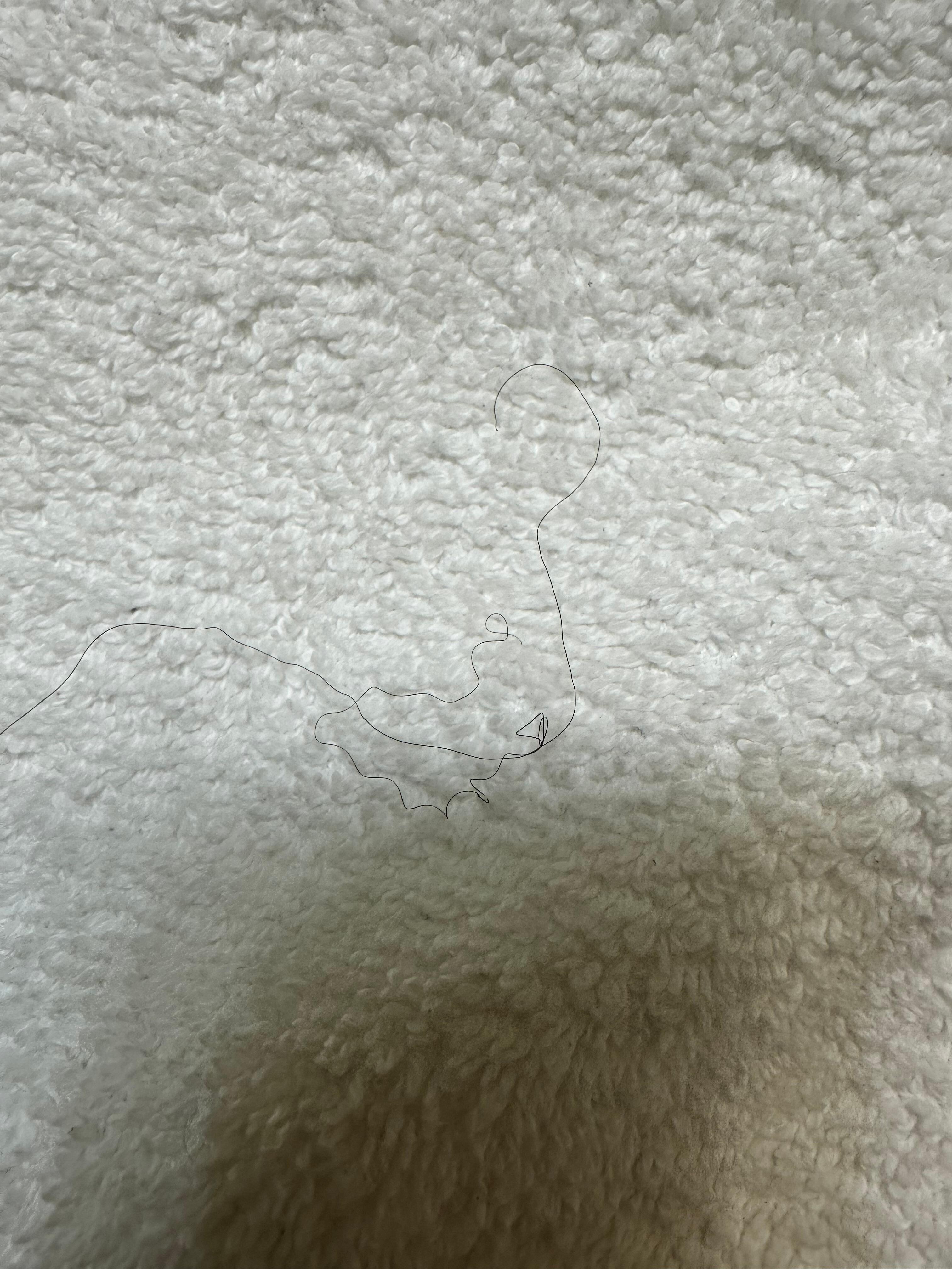 Hair in towel