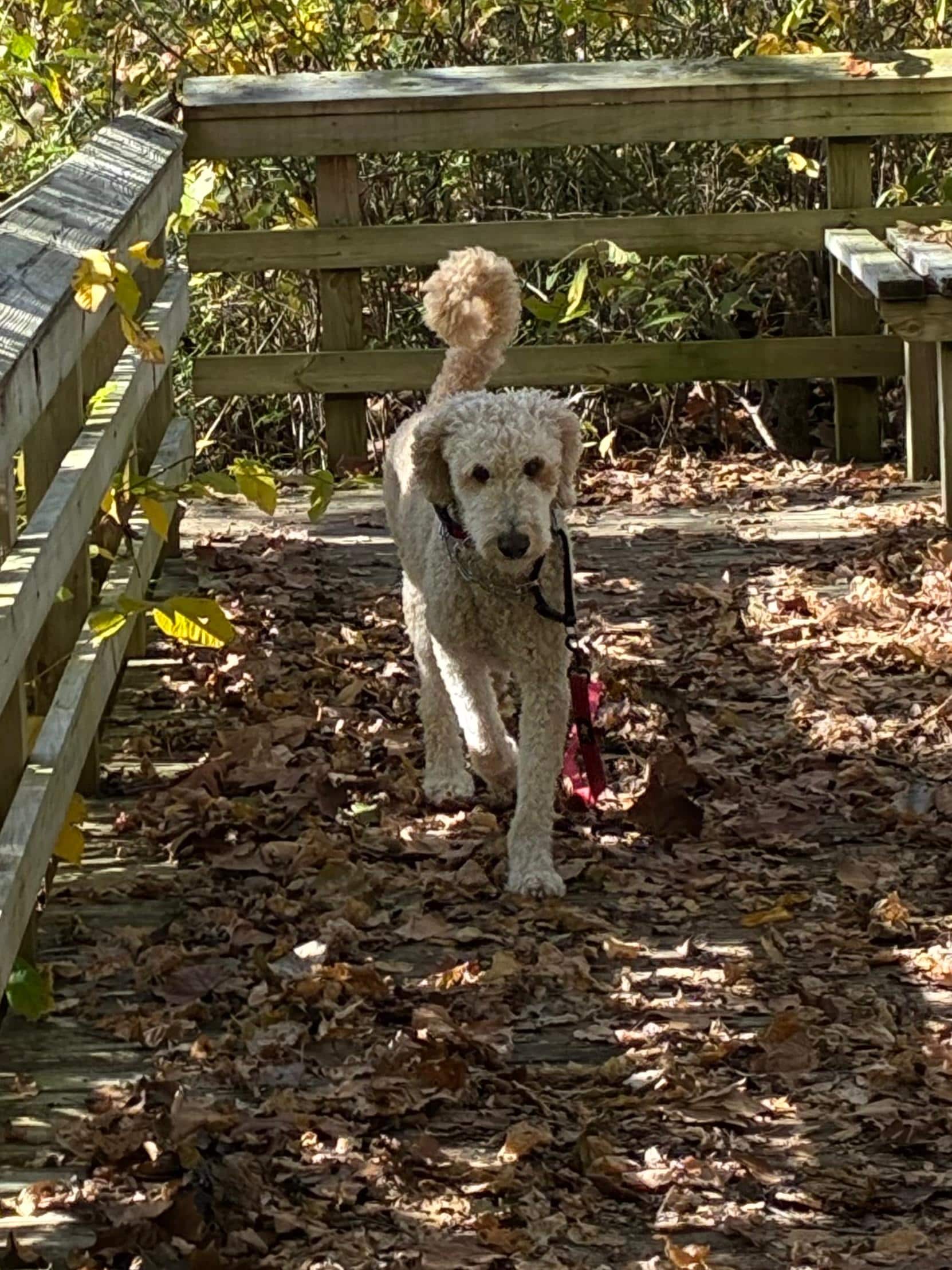 Hiking at fish hatchery 