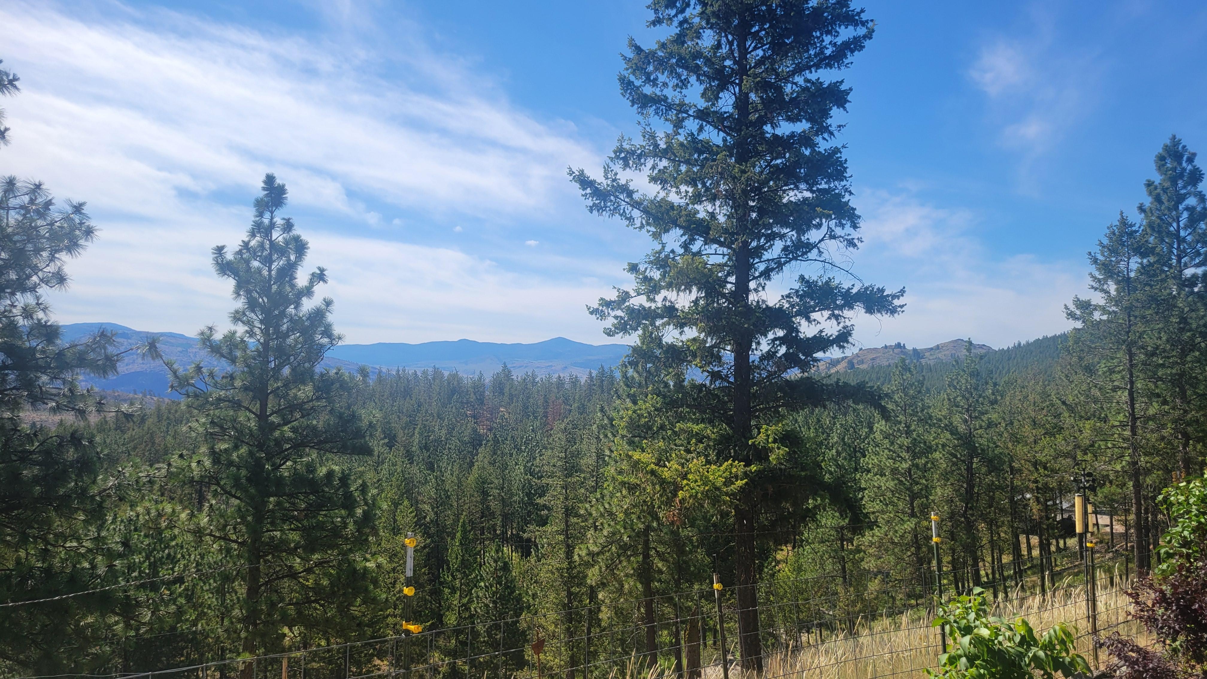 Morning view, with coffee