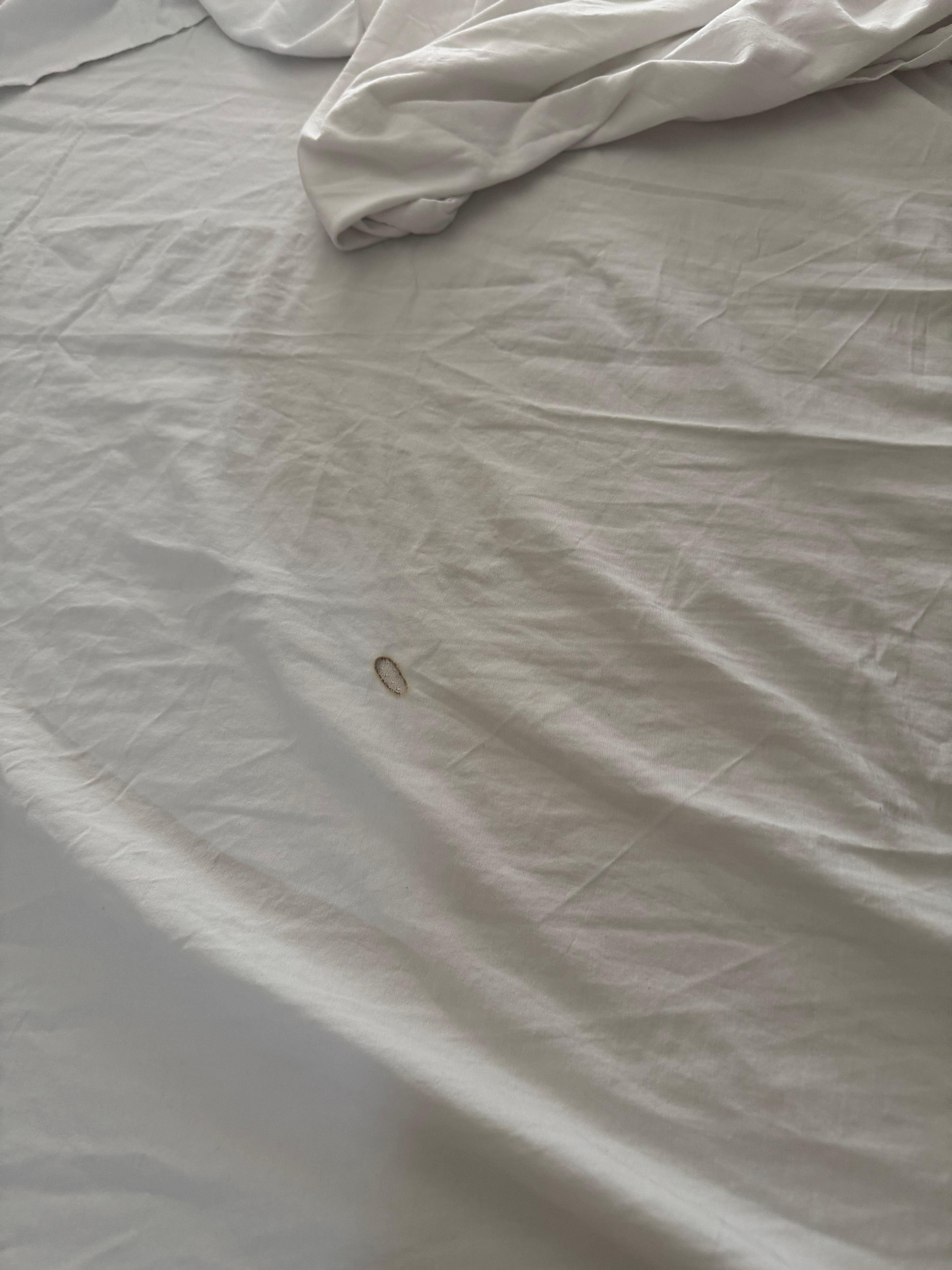 Bedding 