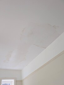 Damp patches on the ceiling.