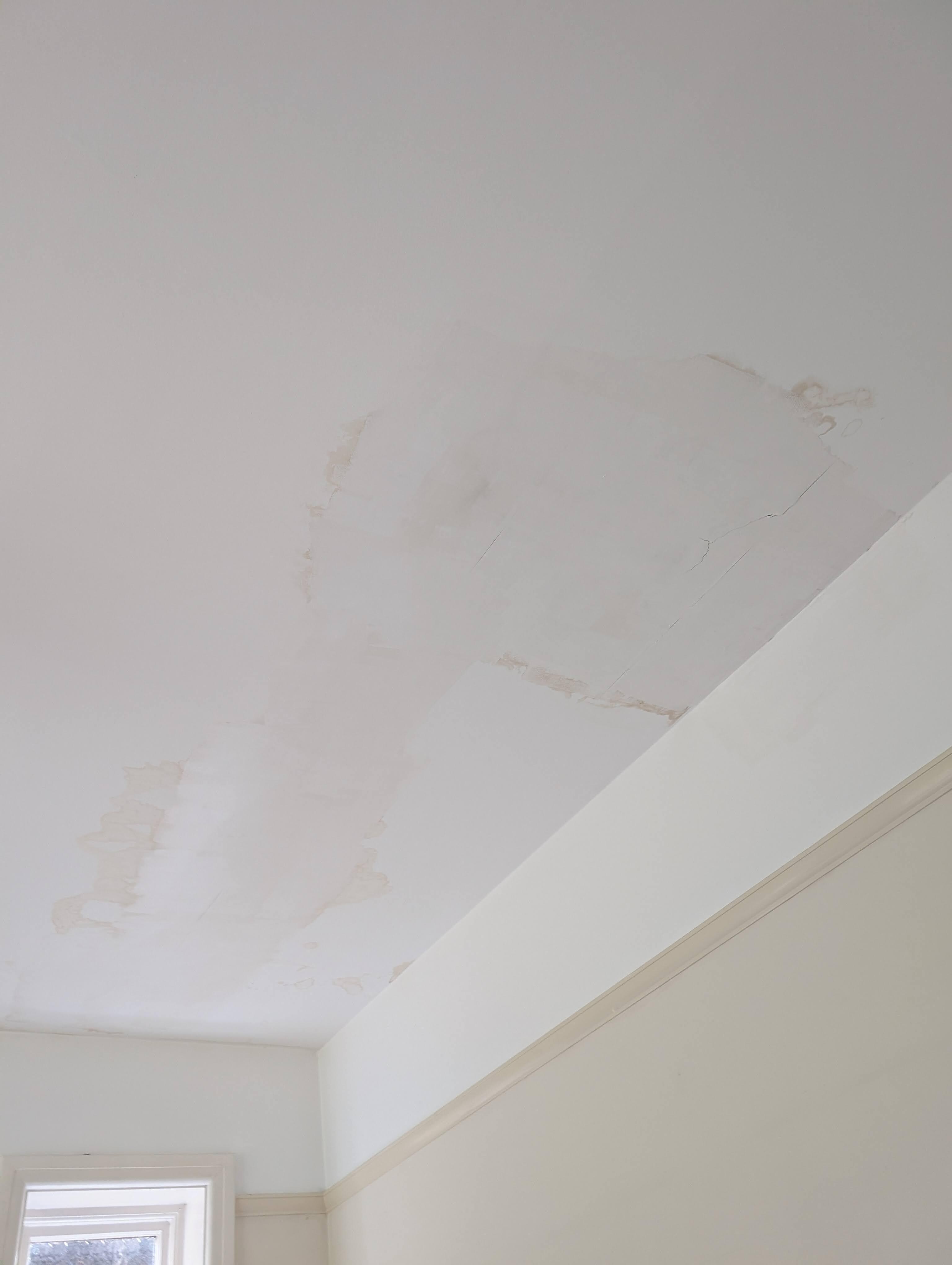 Damp patches on the ceiling. 