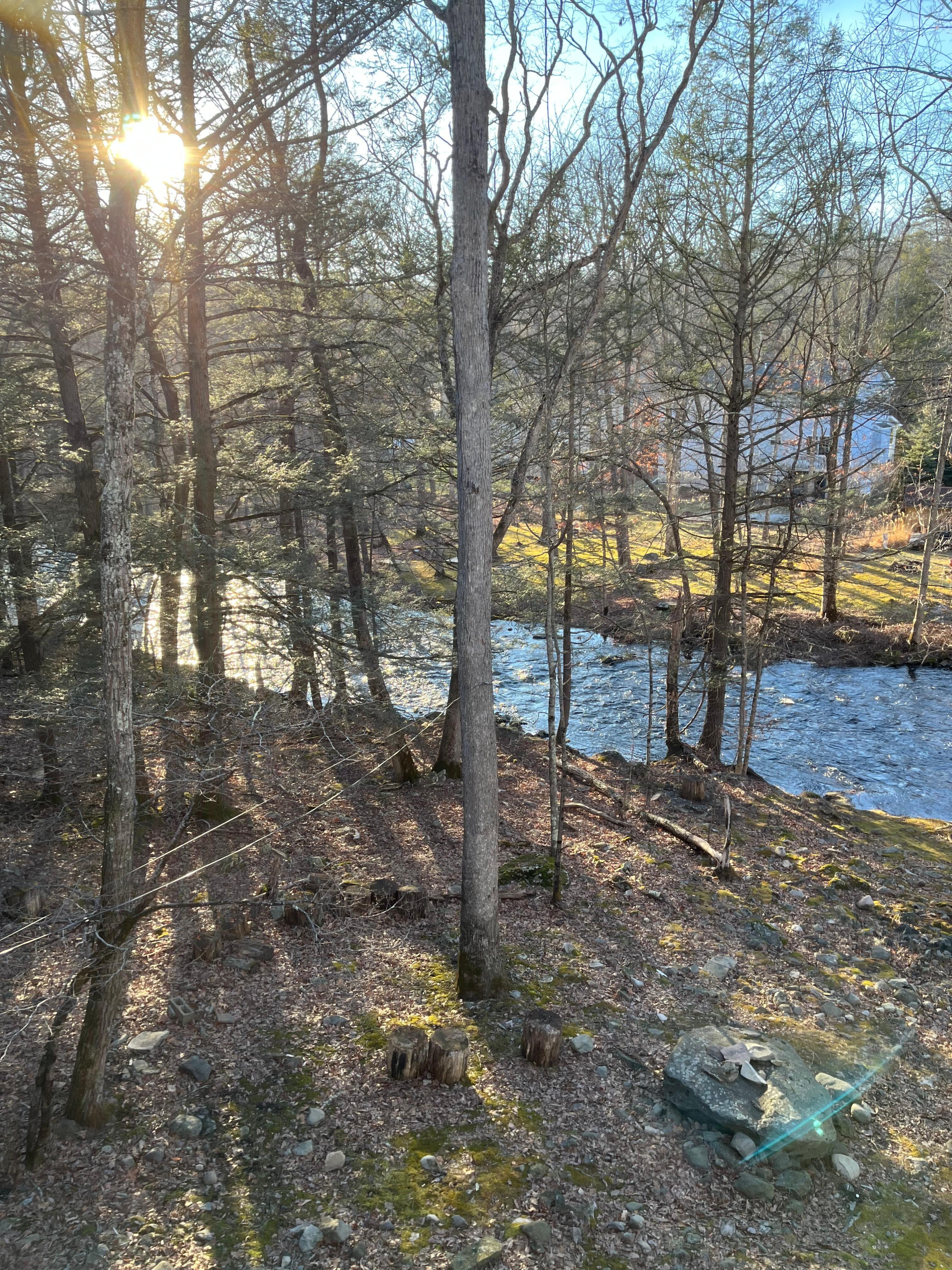 View of the stream.