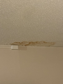 Stain coming from the roof