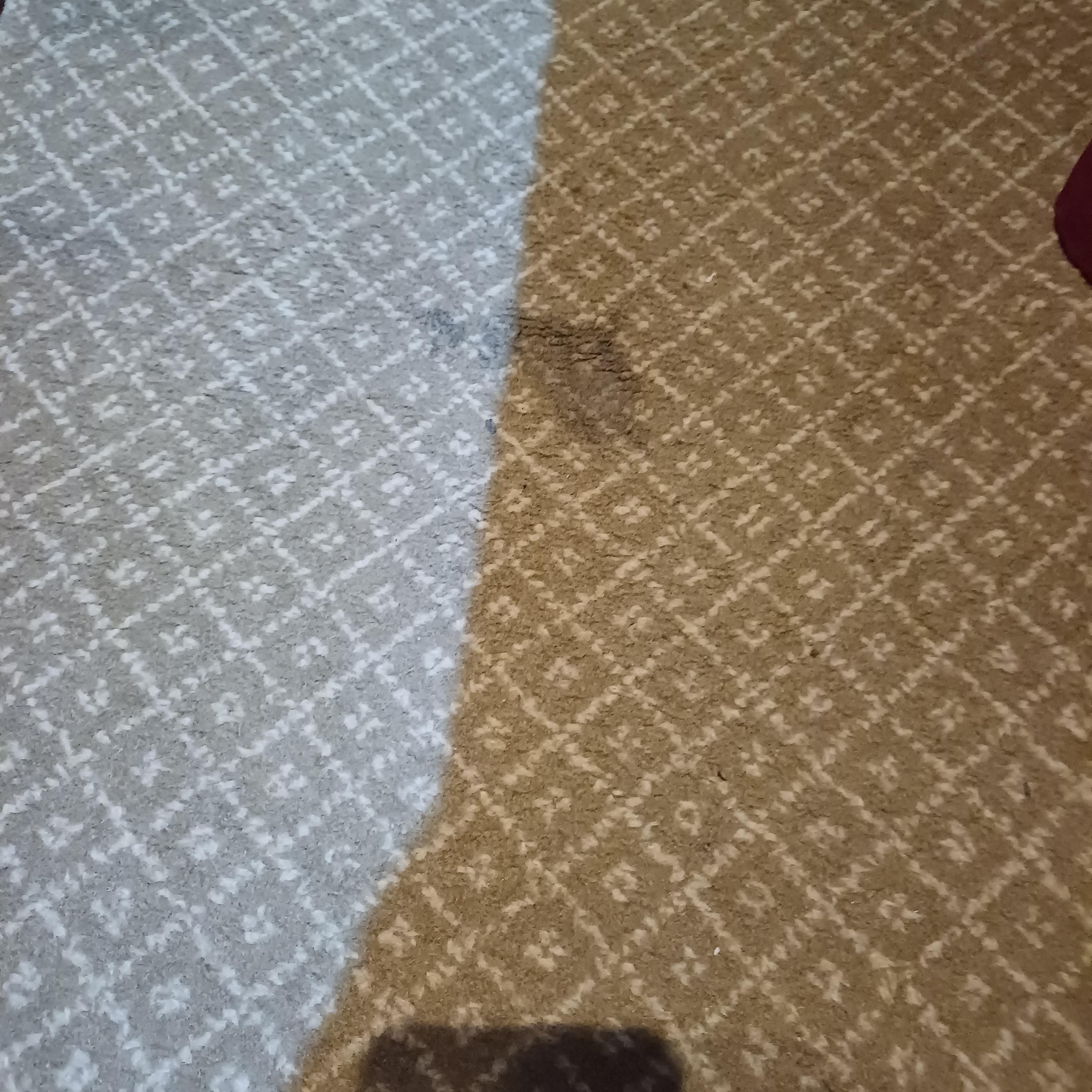 Carpet stains 