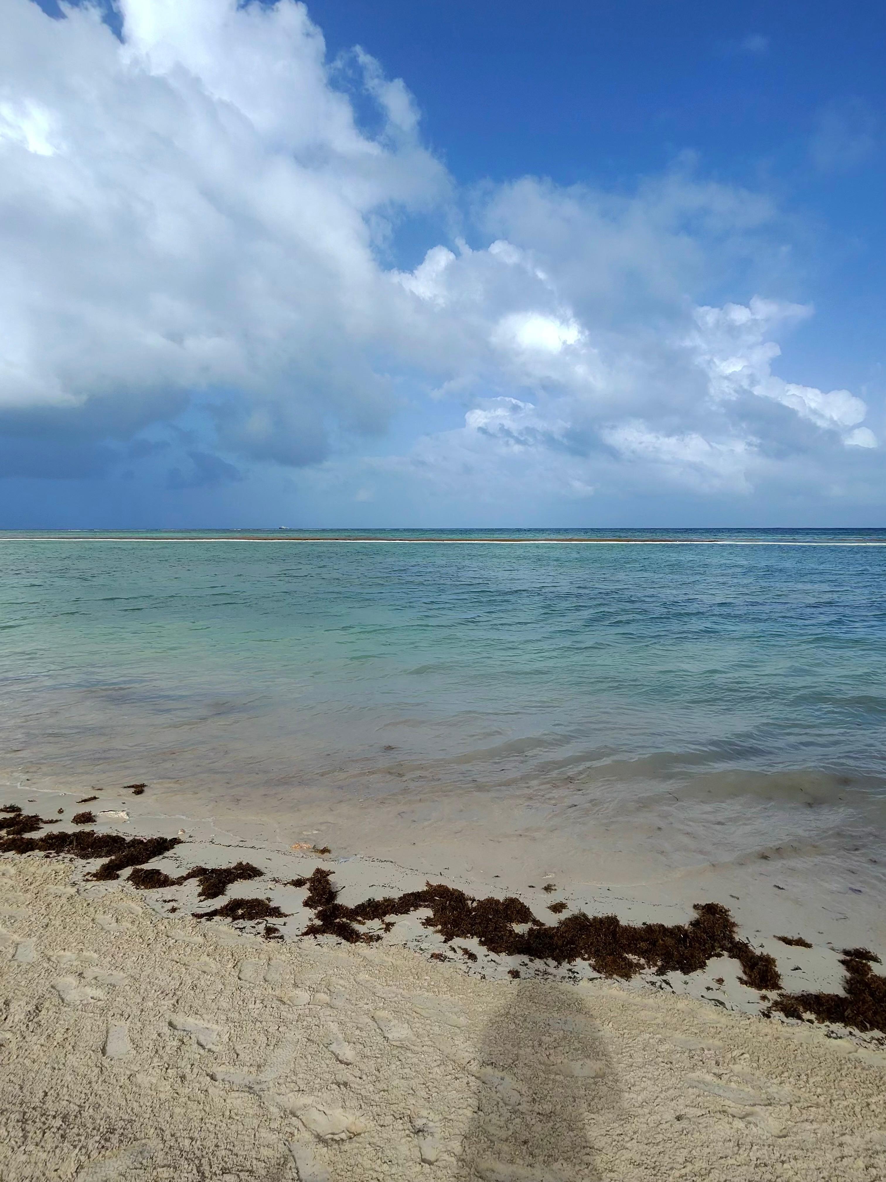 View of the beach