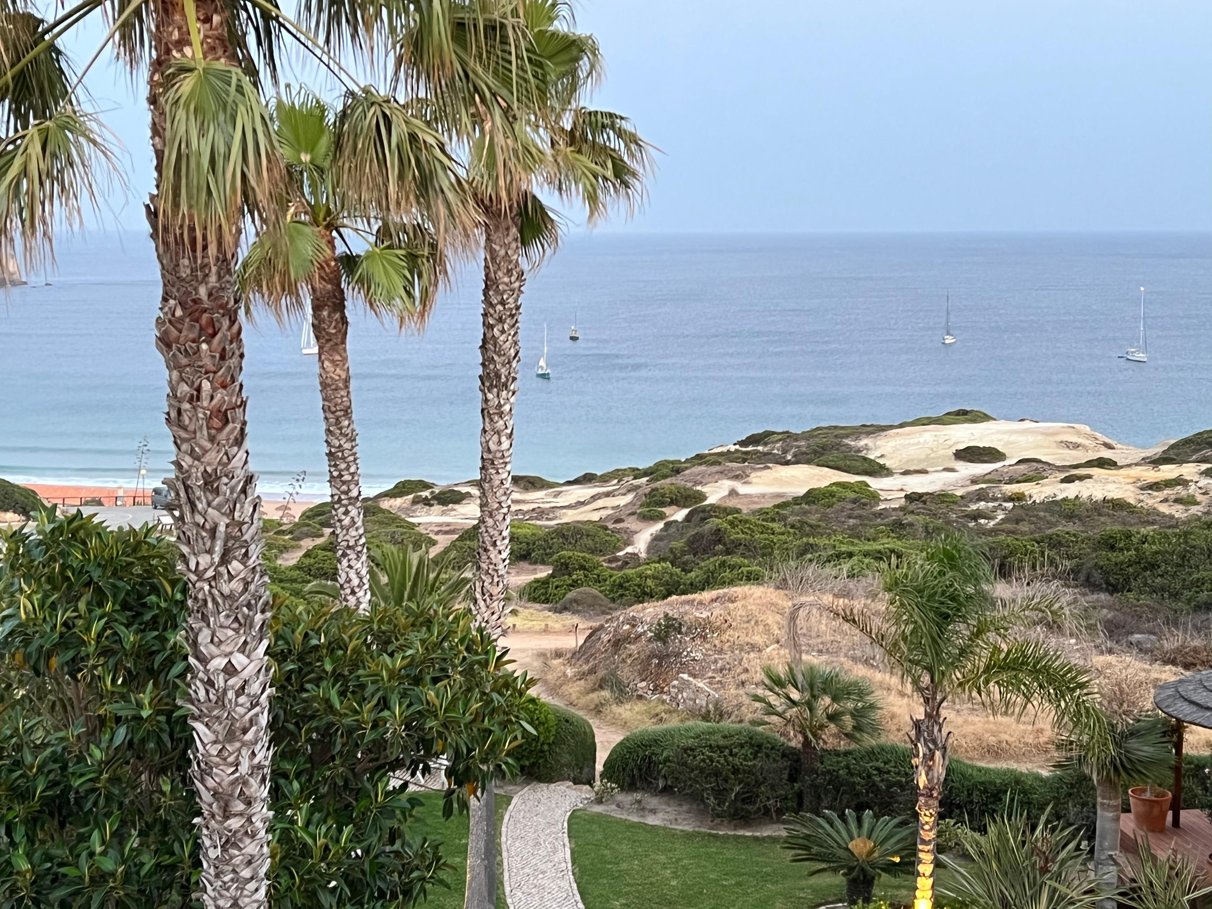 Vistas desde la habitación 