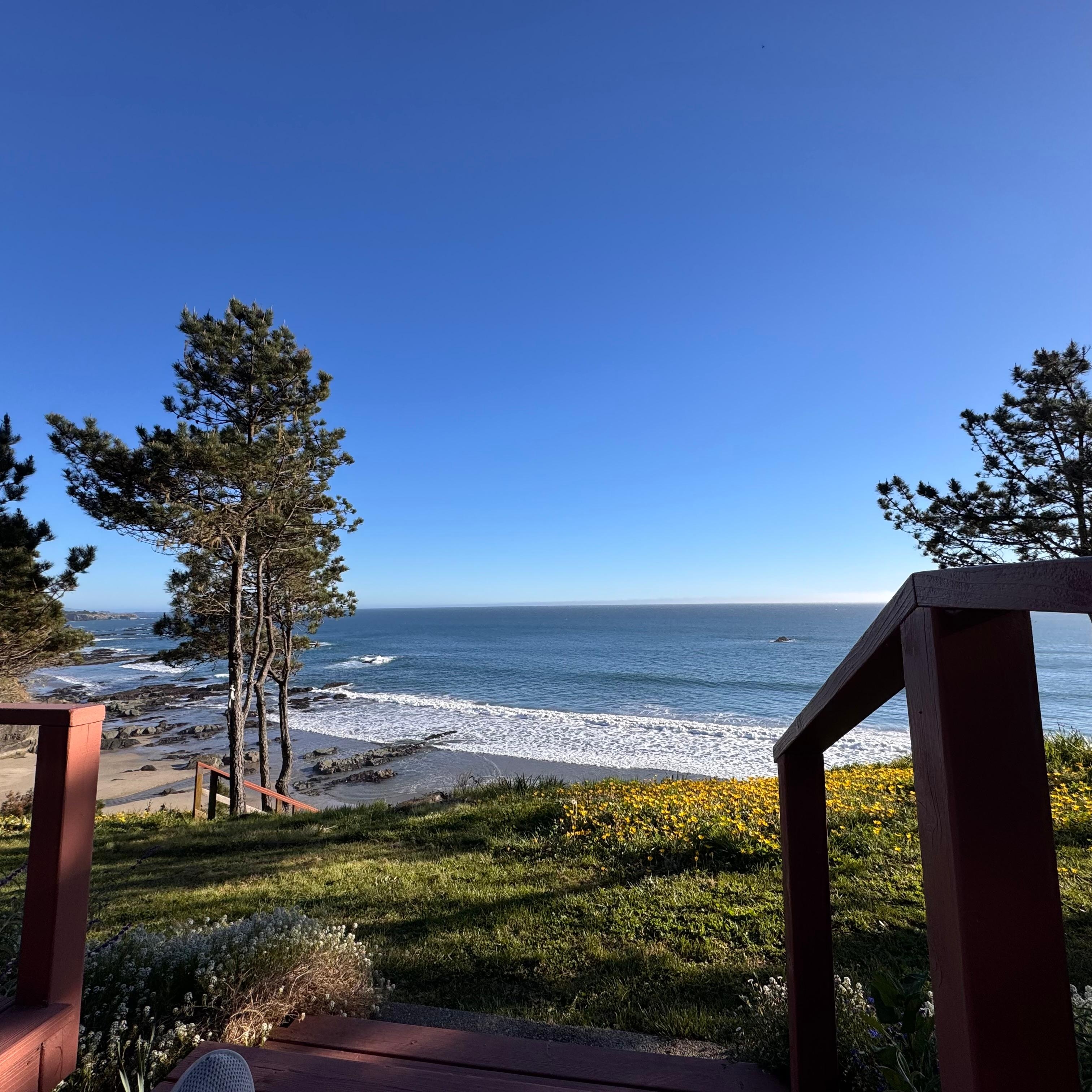 View from the back deck