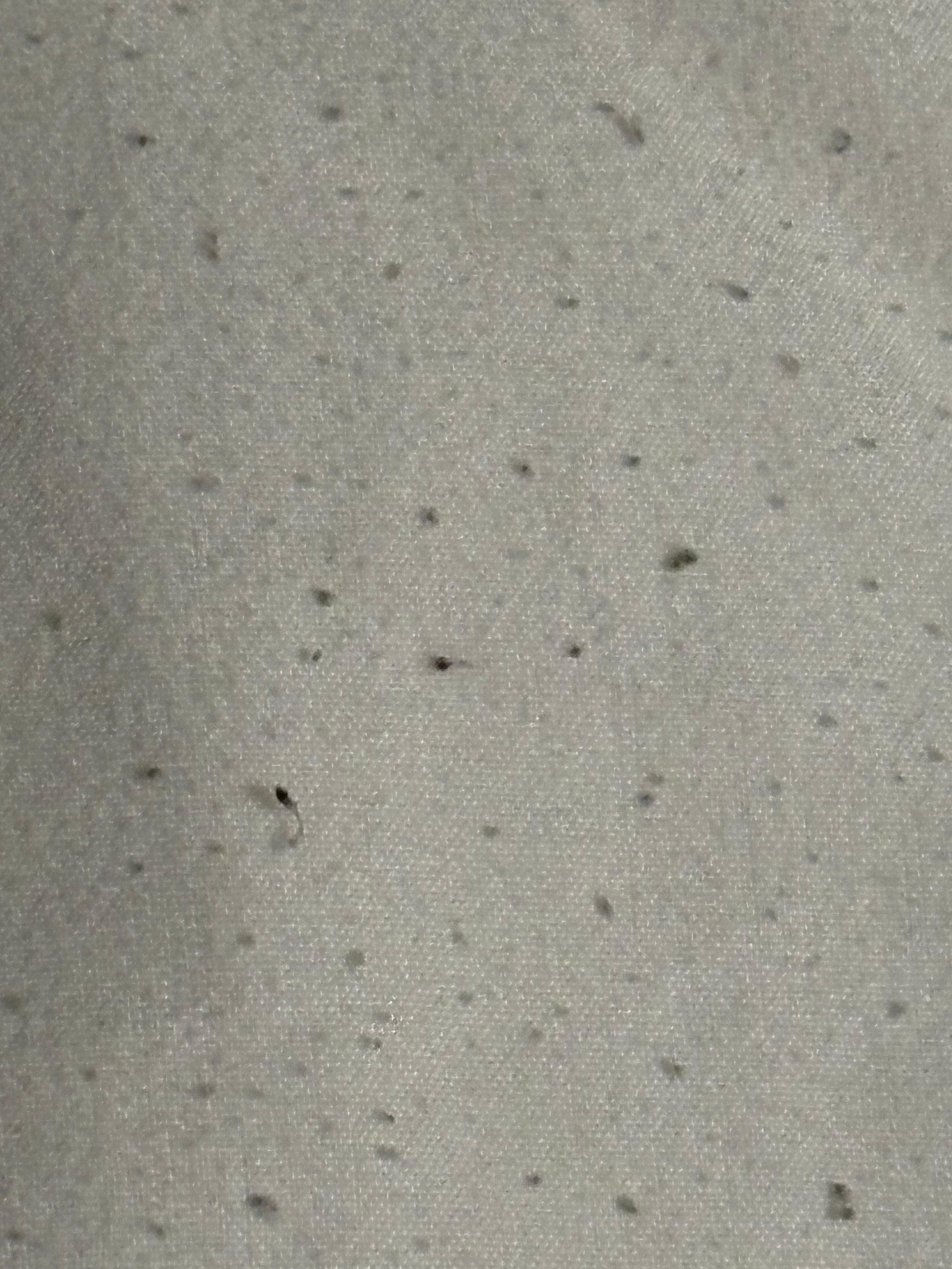 This is the bottom sheet 