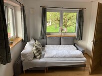 Living room with couch made into bed