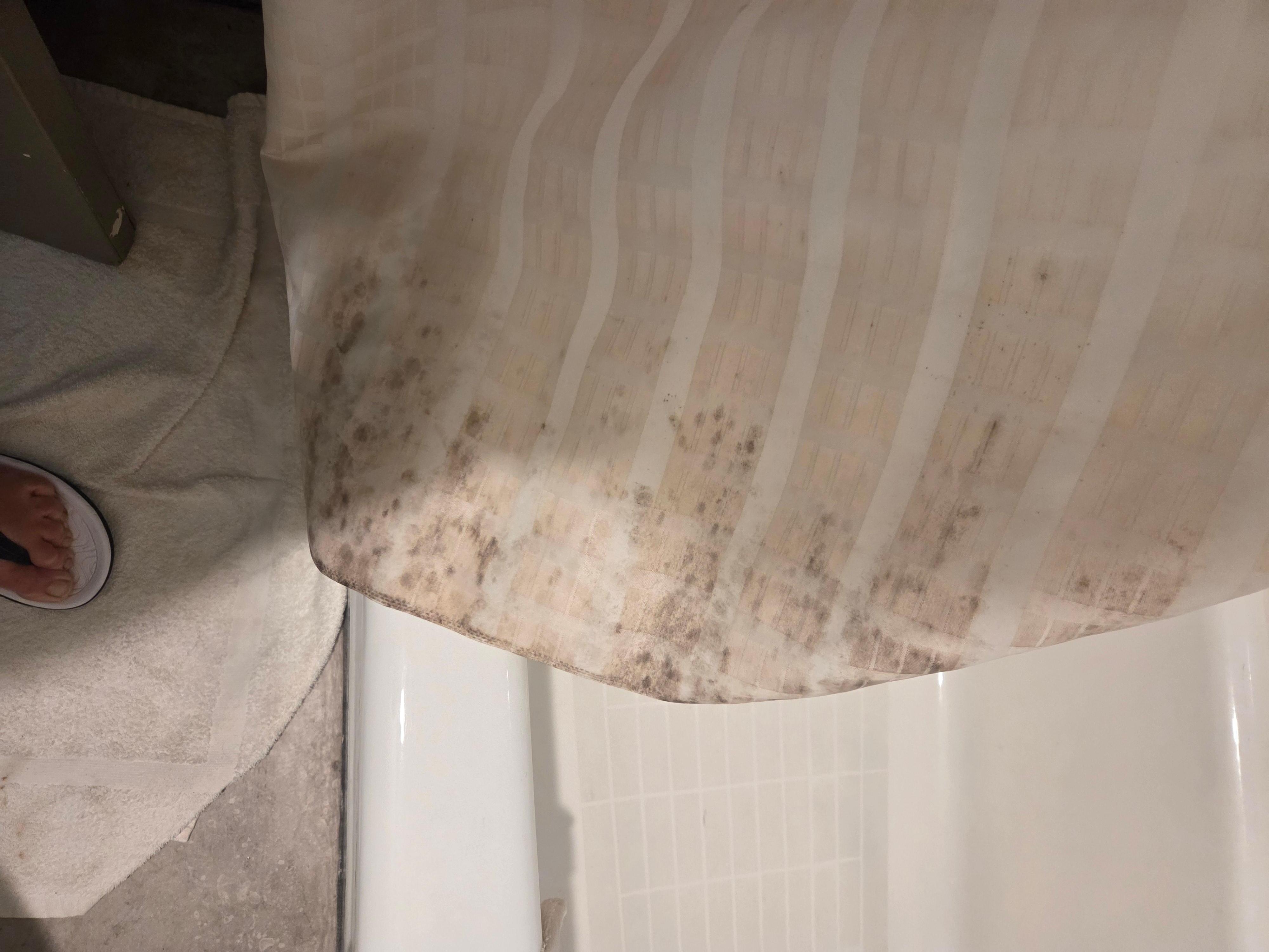 Shower curtain mold