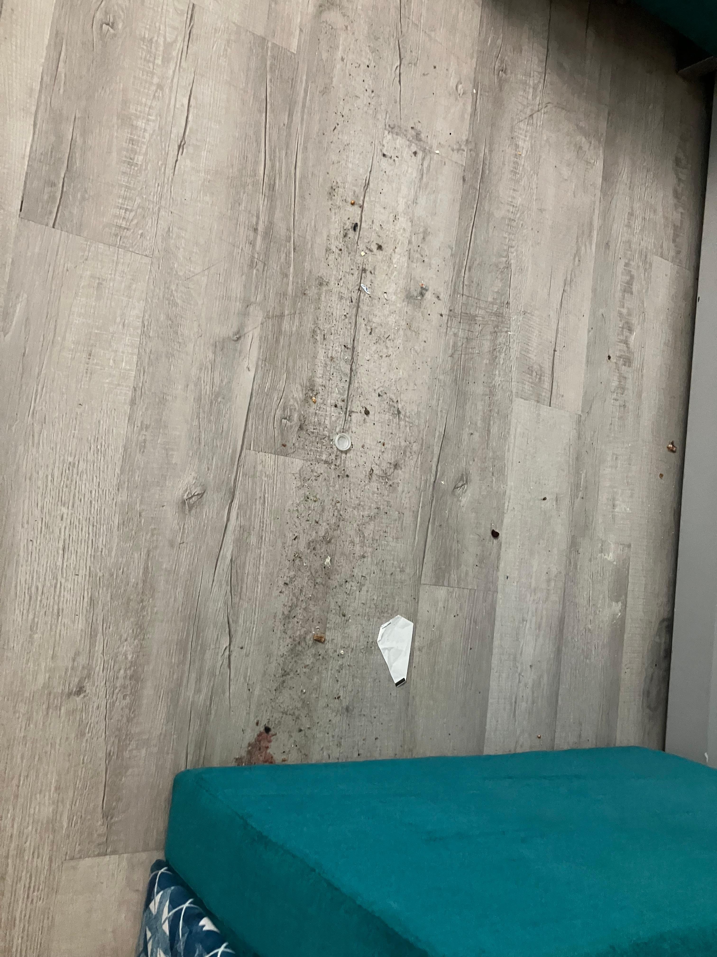 This was the floor in my room.