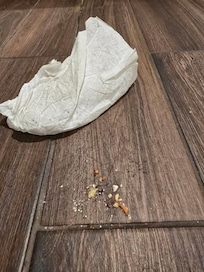 The paper towel that I used to 'sweep' up the kitchen floor - lots of hair and other things that should have been sucked up in a vacuum.
