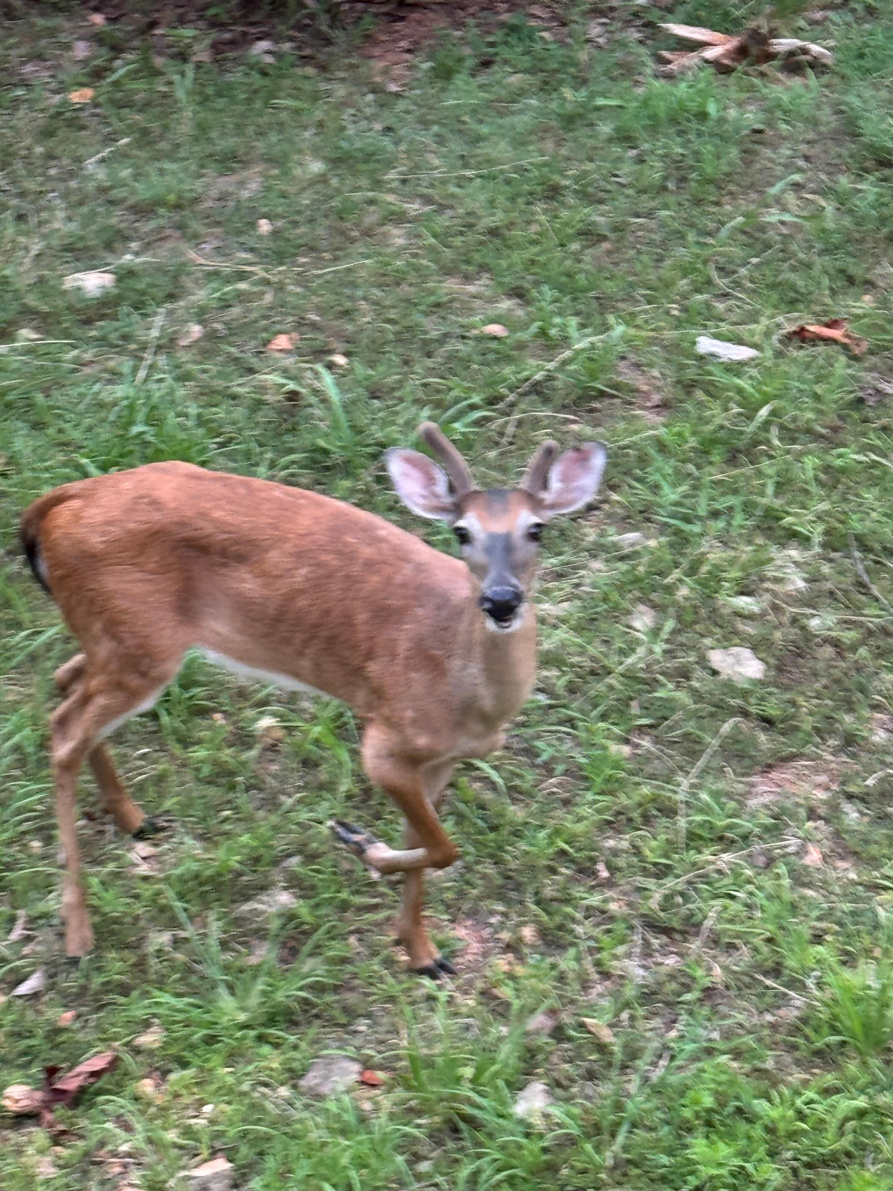 Friendly neighbor