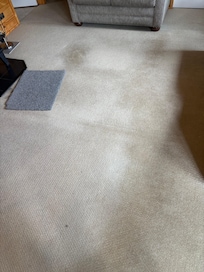 Stains on the carpet in the main living area.