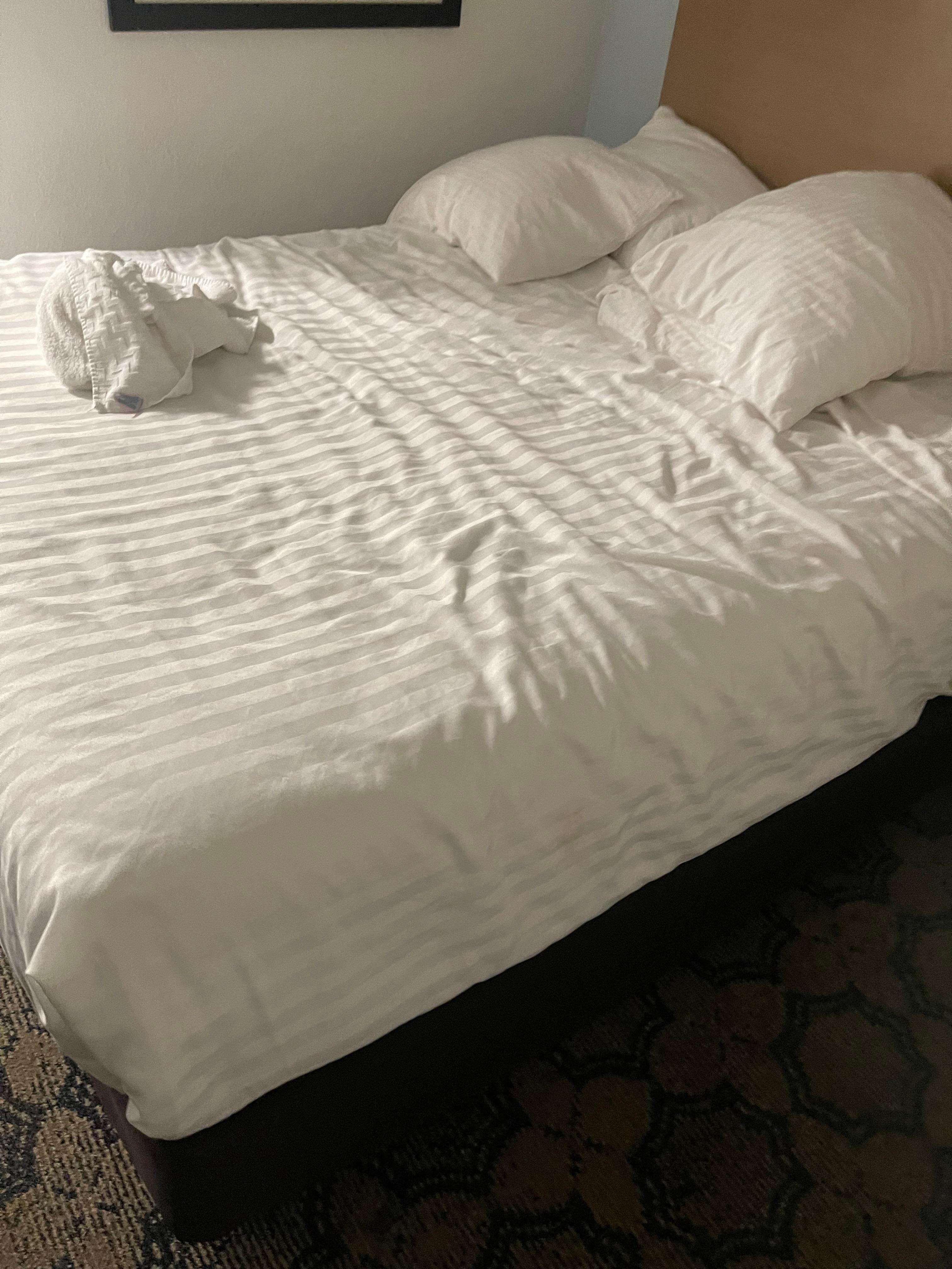 This bed was not changed after the last guest left. 