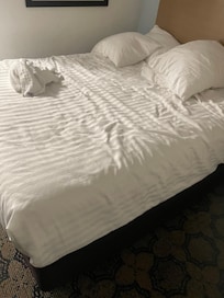 This bed was not changed after the last guest left.