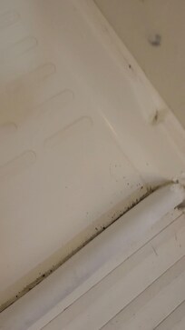 Dirt or mold shower
