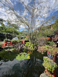 Botanical Gardens