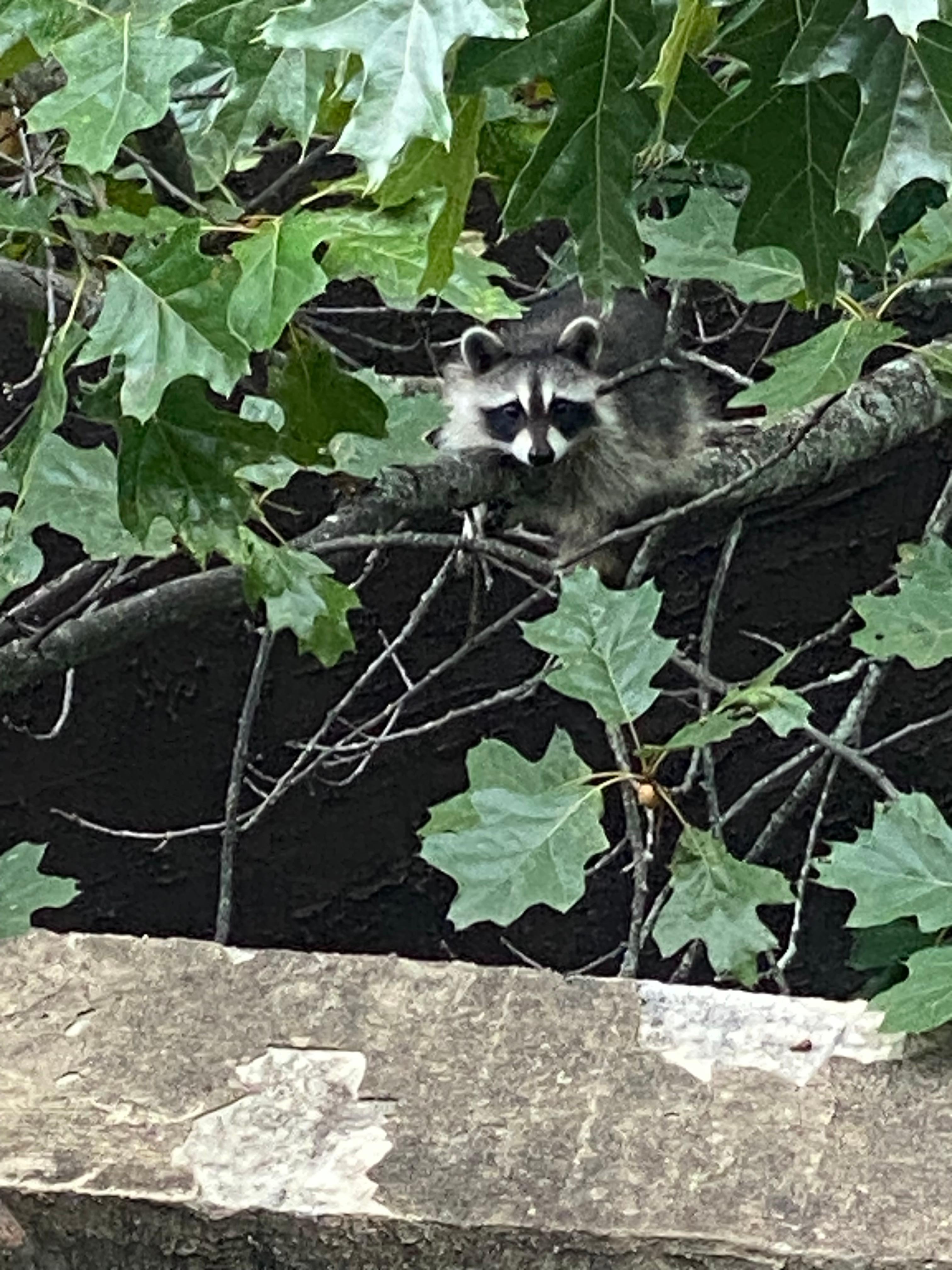 We even had visitors. 