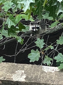 We even had visitors.