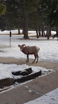 We found this fellow on the trail to the parking lot.