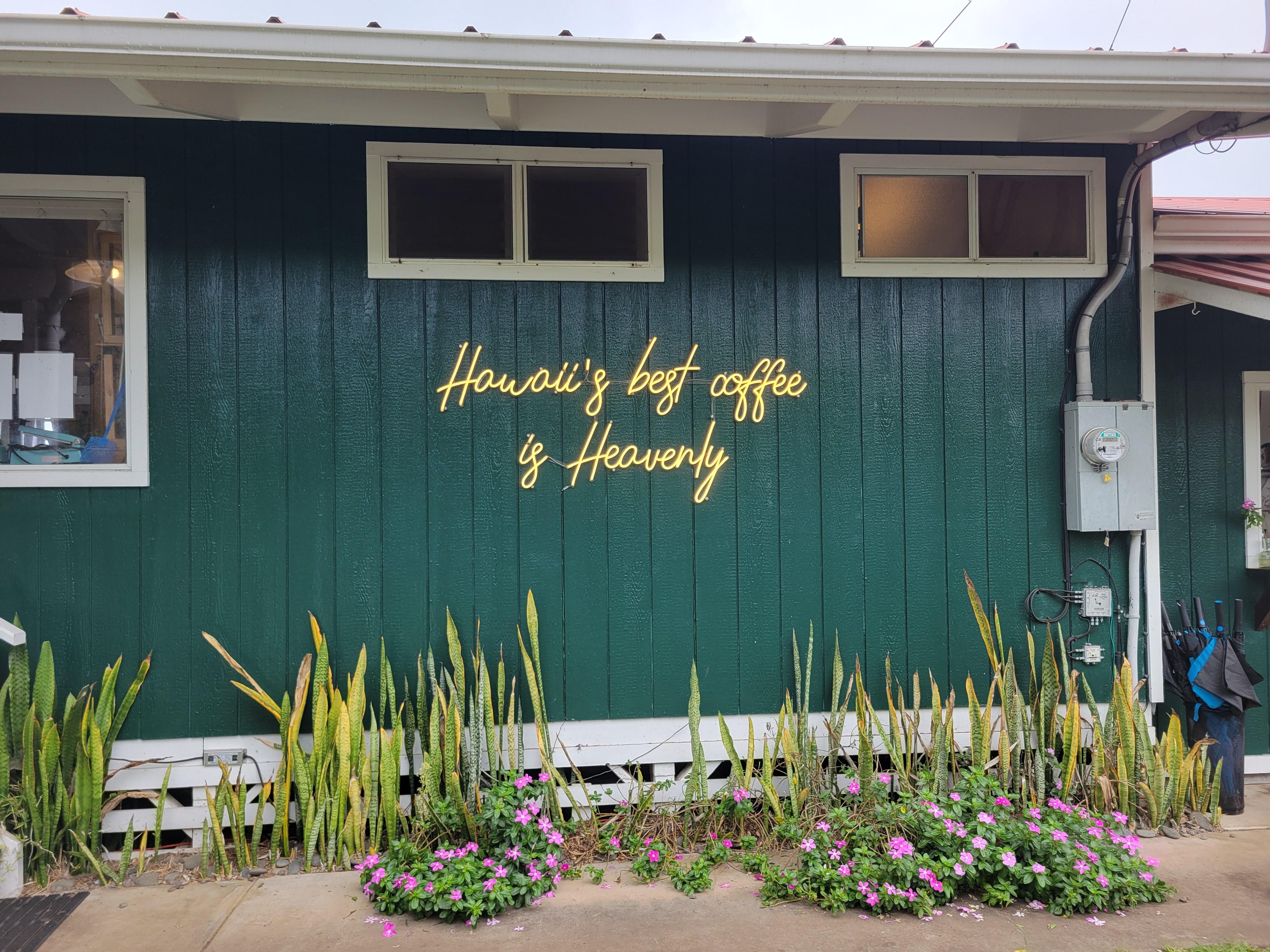 Heavenly Hawaiian Coffee Farm