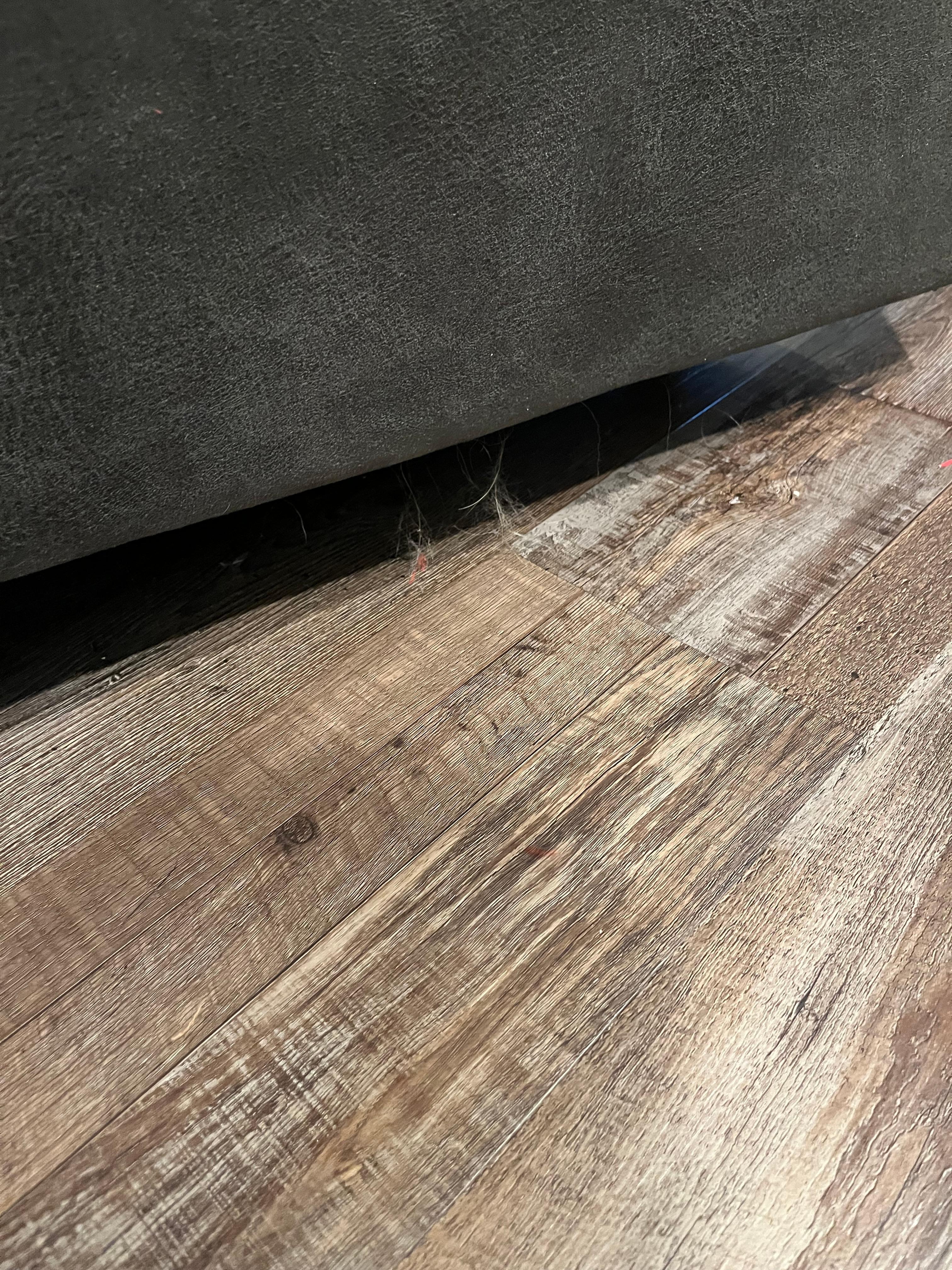 More dog hair under most all living room furniture