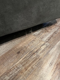 More dog hair under most all living room furniture