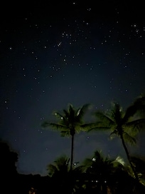Stars at the pool.