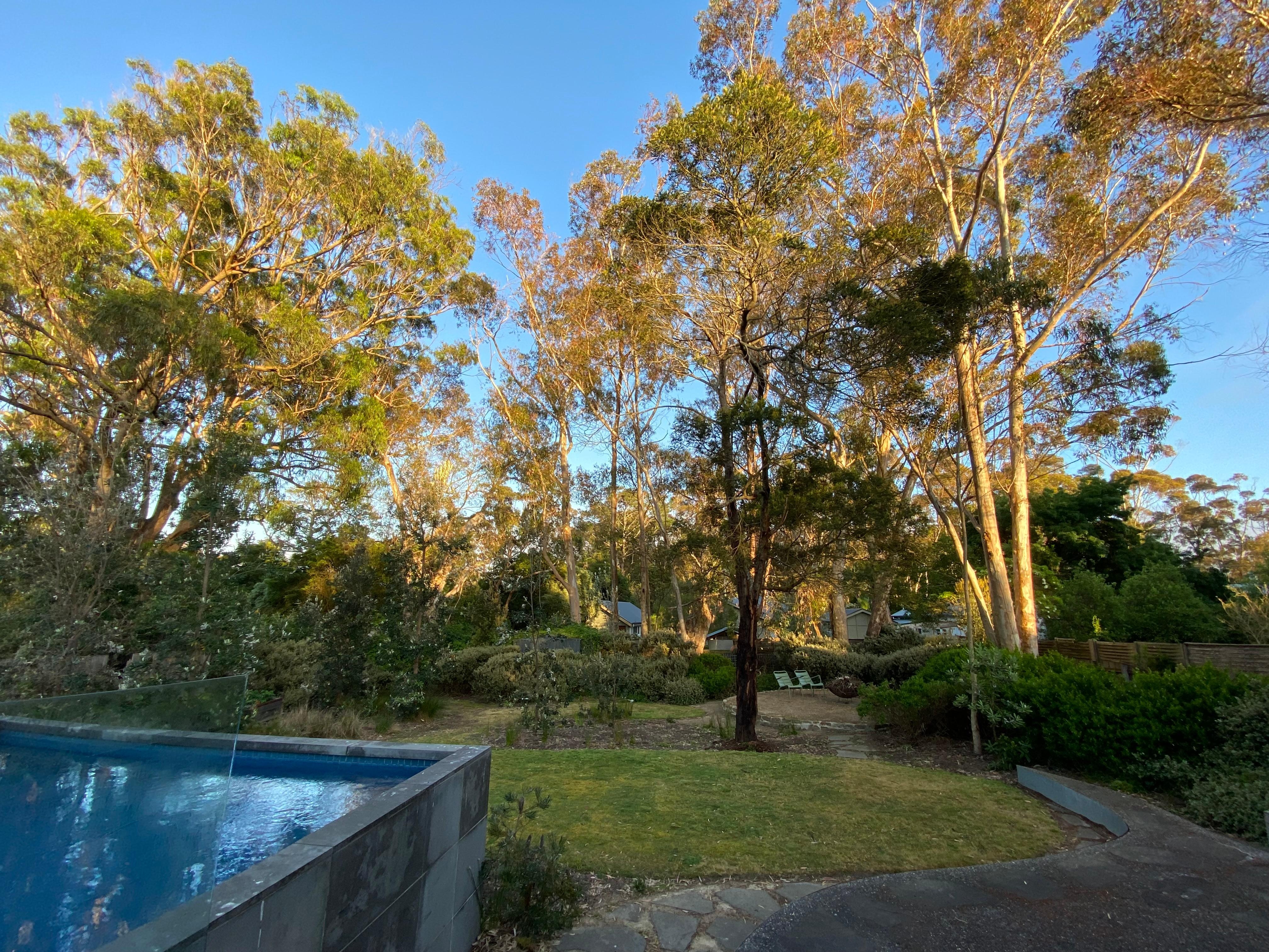 Early morning watching for koalas before the kids hit the pool. The landscaping is beautiful, secluded and welcoming. 