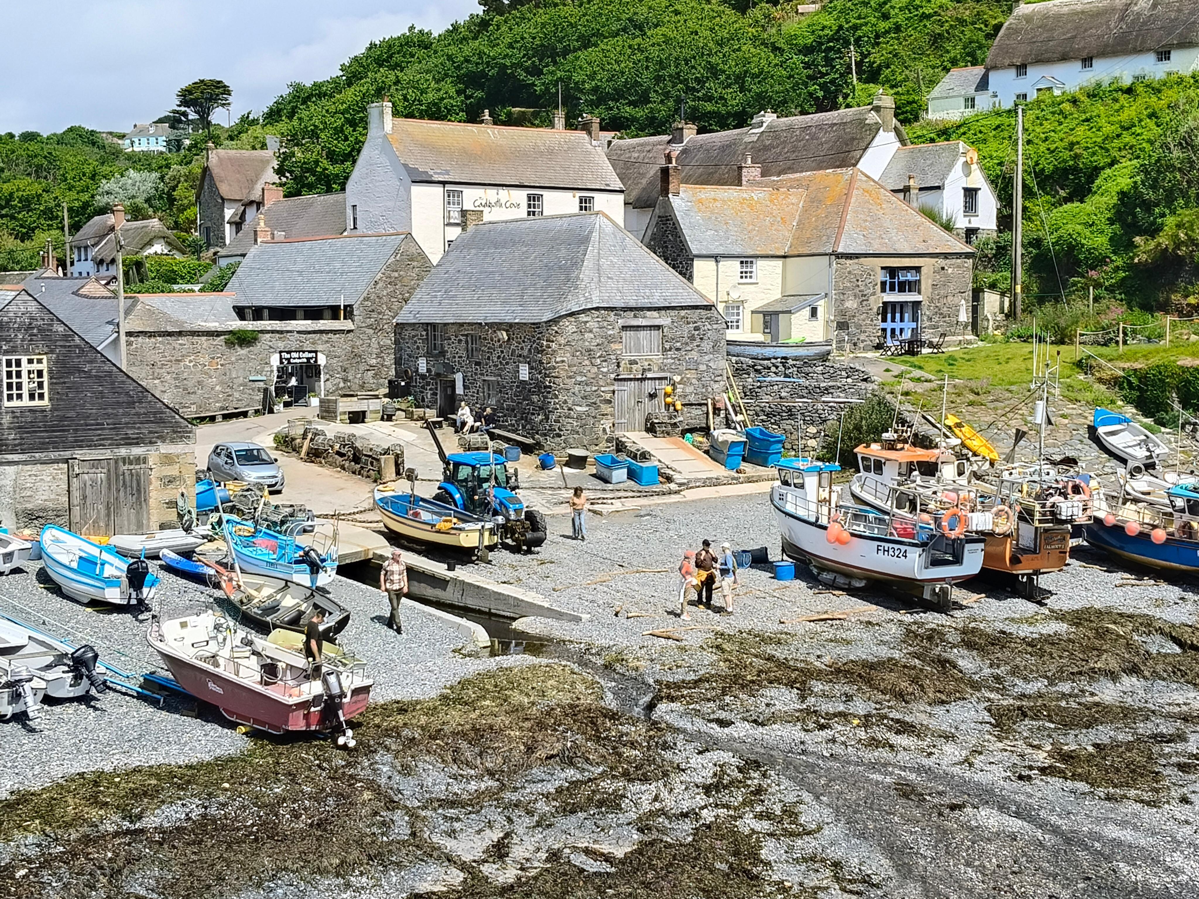 Cadgwith Cove village 