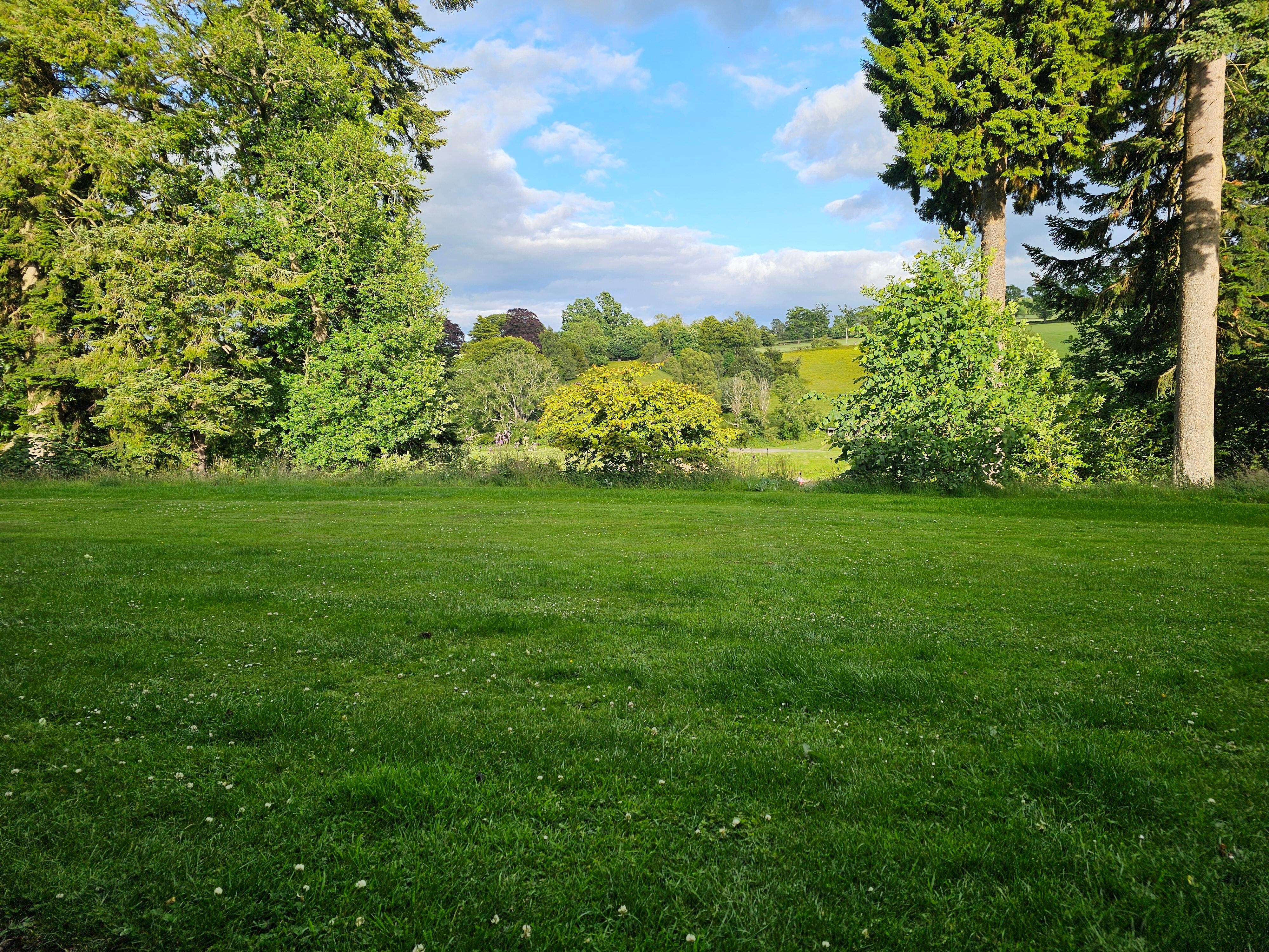 View from the private patio 
