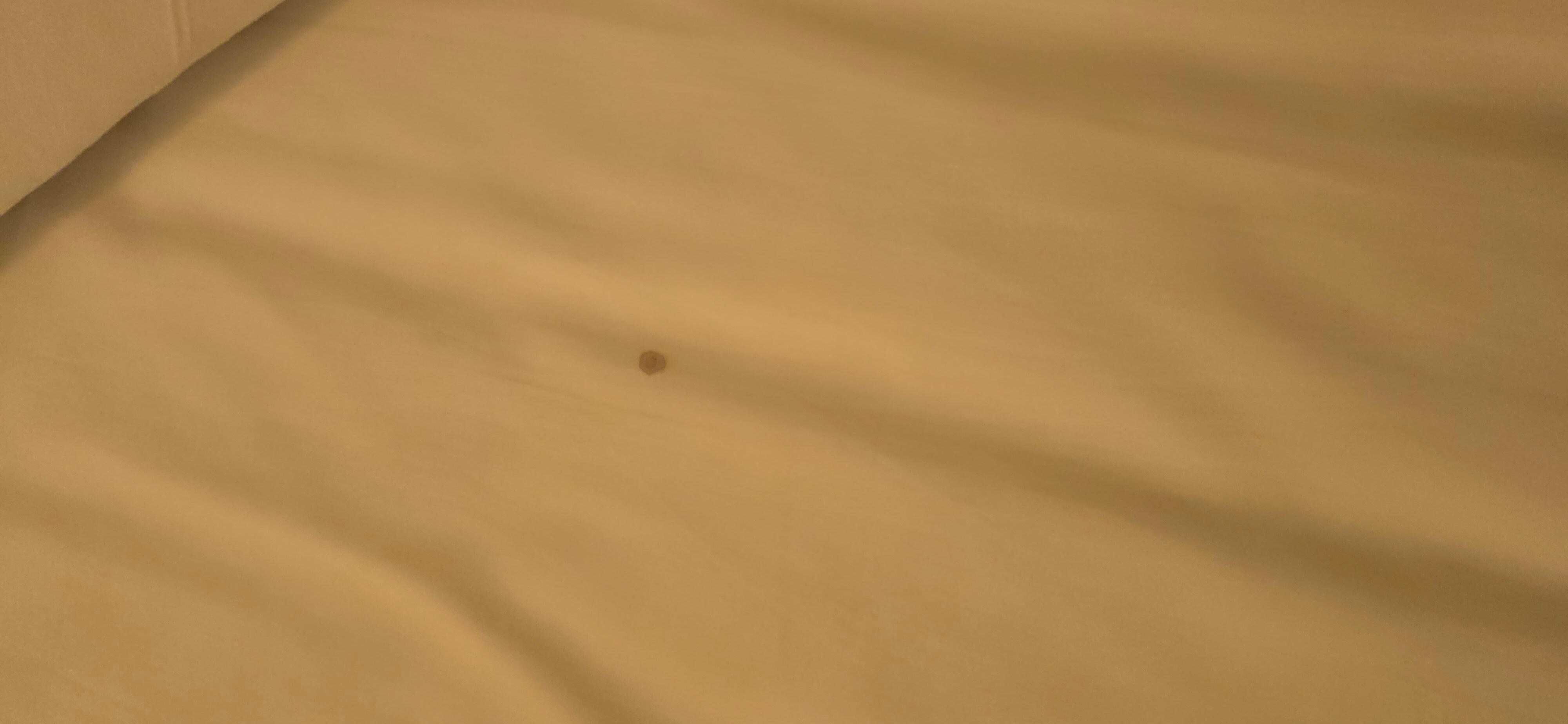 Stains