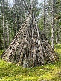 One of the uniquely cool features of this one-of-a-kind woodland retreat.