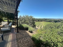 Sideways backyard view overlooking vineyard. It was so peaceful!