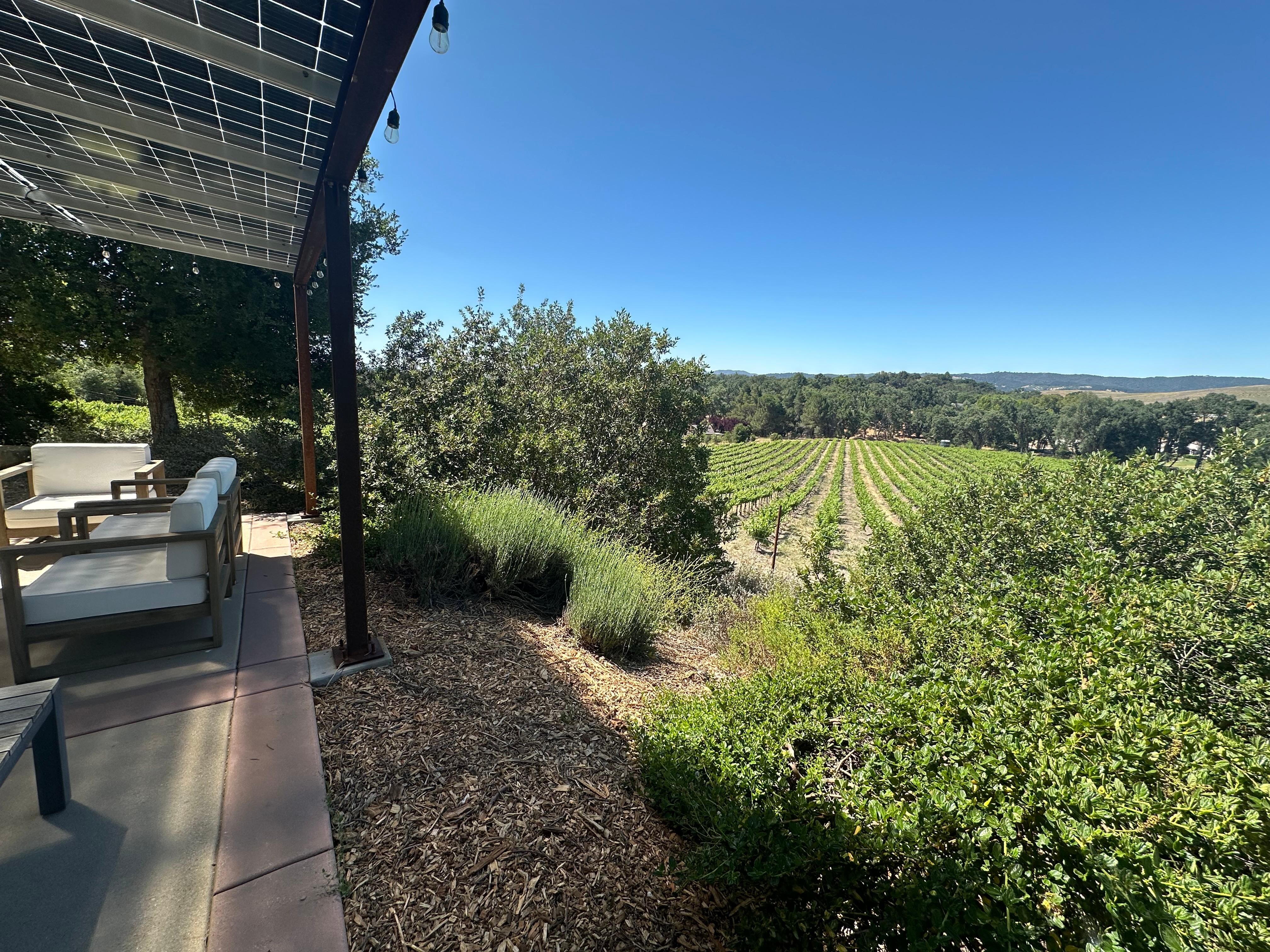 Sideways backyard view overlooking vineyard. It was so peaceful!