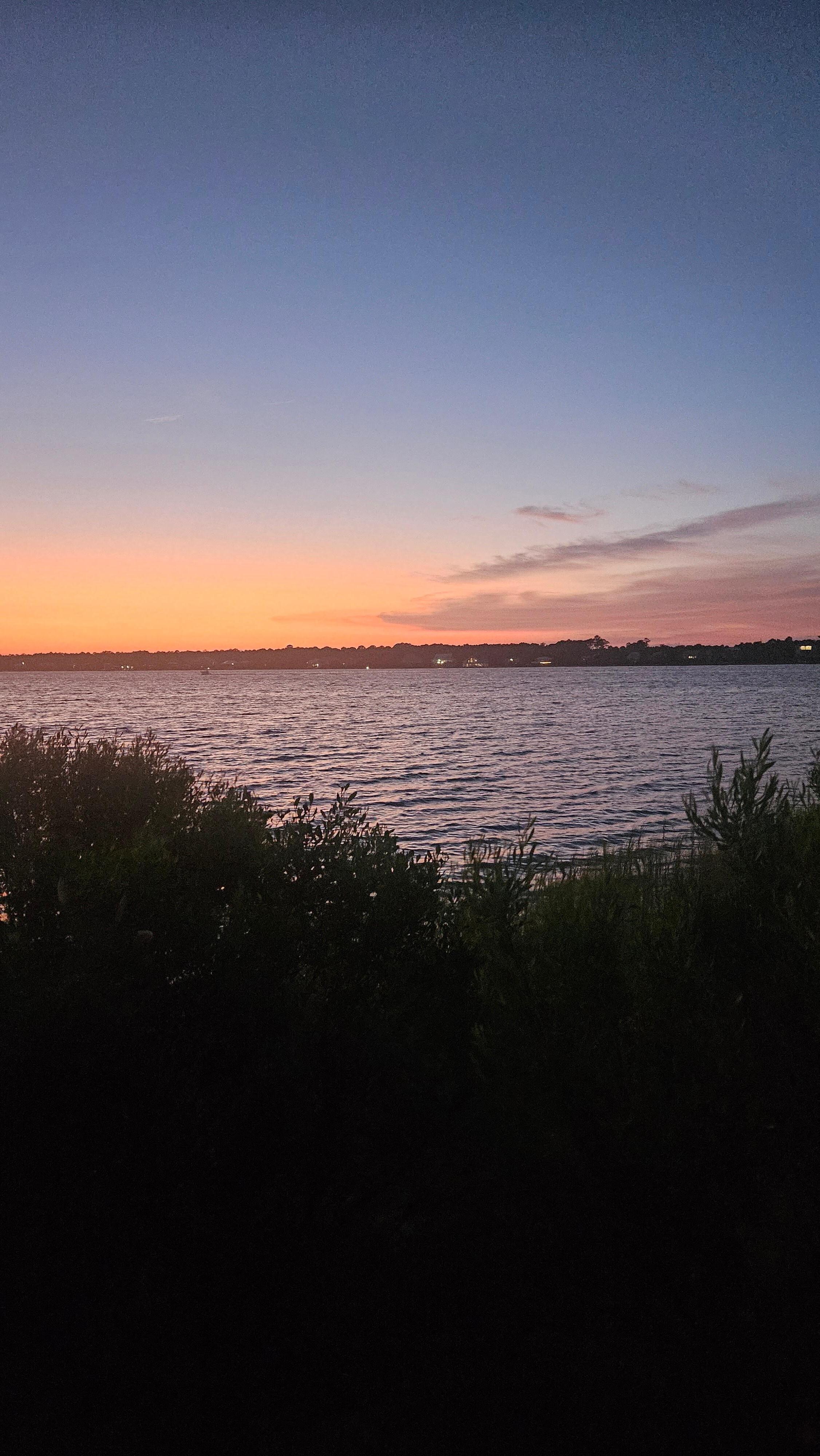 From the pier